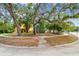 Charming home featuring mature trees with Spanish moss in the front yard and inviting yellow paint at 670 Wooddell Dr, Safety Harbor, FL 34695