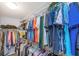 Walk-in closet with ample storage space and organized shelving for clothes at 8007 Bally Money Rd, Tampa, FL 33610