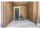 Inviting front porch with a black door, potted plants, and an outdoor light fixture at 8007 Bally Money Rd, Tampa, FL 33610
