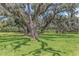 A picturesque landscape with large oak trees and Spanish moss draped over green grass at 8007 Bally Money Rd, Tampa, FL 33610