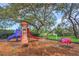 Community playground featuring a slide, a ladybug rocker, and a large shade tree at 8007 Bally Money Rd, Tampa, FL 33610