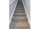 Carpeted staircase with white trim offers a safe and stylish transition between floors at 8007 Bally Money Rd, Tampa, FL 33610
