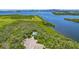 Aerial perspective capturing the community and the pool at 842 Tennyson Mill Cir, Tampa, FL 33619