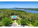 Overhead shot of the community pool, a serene escape with city views at 842 Tennyson Mill Cir, Tampa, FL 33619