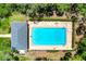Aerial view of the large, community pool with ample lounge seating and shade at 842 Tennyson Mill Cir, Tampa, FL 33619