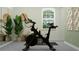 Home exercise area with a stationary bike, plant, and a bench, enhanced by natural light from the window at 9545 Minnow Ray Dr, Land O Lakes, FL 34638