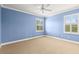 Bright bedroom featuring neutral carpet, ceiling fan and windows with white shutters at 1171 Red Maple Ne Cir, St Petersburg, FL 33703
