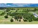 Expansive aerial view of a lush property with mature trees in a rural area at 12434 Cody Dr, Wimauma, FL 33598