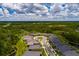 Aerial view of a home in a vibrant neighborhood with well-maintained landscaping and a pond at 17263 Mango Shay Ct, Land O Lakes, FL 34638