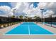 Community pickleball court with bright blue surface, black fencing, and lighting for fun and competitive play at 17263 Mango Shay Ct, Land O Lakes, FL 34638