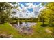 A picturesque waterfront view featuring a tranquil pond, lush greenery, and clear sky reflecting on the water at 17263 Mango Shay Ct, Land O Lakes, FL 34638