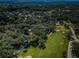 Panoramic aerial view of a lush golf course and the tree-lined community at 209 S Greenfield Ave, Temple Terrace, FL 33617