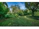 A spacious backyard featuring lush green grass, surrounded by vibrant trees and greenery at 209 S Greenfield Ave, Temple Terrace, FL 33617
