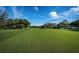 A wide expanse of lush green grass in a community setting on a beautiful day at 209 S Greenfield Ave, Temple Terrace, FL 33617