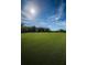 A wide expanse of lush green grass in a community setting on a beautiful day at 209 S Greenfield Ave, Temple Terrace, FL 33617