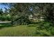 A spacious front yard featuring green lawn, mature trees, and lush tropical foliage enhancing the property's curb appeal at 209 S Greenfield Ave, Temple Terrace, FL 33617