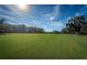 Lush green golf course fairway with clear blue skies and scattered trees offering a peaceful and inviting view at 209 S Greenfield Ave, Temple Terrace, FL 33617