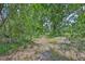 Wooded backyard with mature trees for a private and peaceful setting at 2112 33Rd Se St, Ruskin, FL 33570