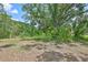 Landscaped yard with tropical palm trees offering natural shade and beauty at 2112 33Rd Se St, Ruskin, FL 33570