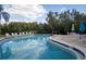 Inviting in-ground pool area with lounge chairs and umbrellas, perfect for relaxation and enjoying the outdoors at 2533 Dolly Bay Dr # 203, Palm Harbor, FL 34684