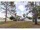 Expansive backyard view featuring lush lawn and mature trees creating a serene and private outdoor space at 27709 Robin Roost Ln, Wesley Chapel, FL 33544