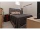 Comfortable bedroom with stylish gray headboard, bedside tables, and ample closet space at 27709 Robin Roost Ln, Wesley Chapel, FL 33544