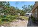 Expansive backyard with shade trees and ample space at 314 Bath St, Tarpon Springs, FL 34689