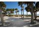 Beautiful beach with palm trees and glistening water, a perfect tropical escape at 314 Bath St, Tarpon Springs, FL 34689