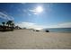 Wide sandy beach with palm trees along the shore, meeting a serene blue sea under a sunny sky at 314 Bath St, Tarpon Springs, FL 34689