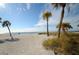 Tranquil beach view with white sand, sparse vegetation, palm trees, and clear blue skies at 314 Bath St, Tarpon Springs, FL 34689