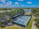 An aerial view of the community pickleball courts near the lake and mature trees at 316 Lafayette Blvd, Oldsmar, FL 34677