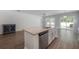 Modern kitchen with large island, stainless steel appliances, and adjacent living area at 3906 N Lynn Ave, Tampa, FL 33603