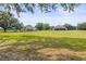 Beautiful property with large grassy fields and two separate buildings under a clear blue sky at 5319 W Trapnell Rd, Dover, FL 33527