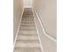 Carpeted staircase with white railing, offering a classic design at 6319 Sunset Bay Cir, Apollo Beach, FL 33572