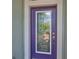 Close-up of a stylish front door with decorative glass panel and elegant hardware at 724 Chipper Dr, Sun City Center, FL 33573