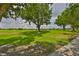 Expansive view of the golf course with mature trees and landscaped common areas for a scenic and tranquil setting at 724 Chipper Dr, Sun City Center, FL 33573