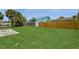 Expansive backyard featuring lush green grass, wooden fence, and scattered trees for privacy at 7317 W Pocahontas Ave, Tampa, FL 33634