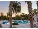 Community pool with a variety of seating options surrounded by mature palm trees at 11550 Lake Lucaya Dr, Riverview, FL 33579