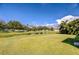 Expansive backyard featuring a large pond, lush grass, mature trees, and a picturesque view at 11567 Weston Course Loop, Riverview, FL 33579