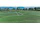 Well-maintained community tennis courts with green surface and clearly marked lines for recreational play at 11567 Weston Course Loop, Riverview, FL 33579