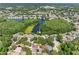Aerial view of the community with a lake and tree coverage providing a natural and serene living environment at 13409 Fawn Springs Dr, Tampa, FL 33626