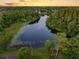 Serene aerial view of a lake surrounded by lush greenery, offering a peaceful and private environment at 13409 Fawn Springs Dr, Tampa, FL 33626