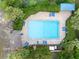 Aerial view of the community pool with ample lounge chairs and shade at 13409 Fawn Springs Dr, Tampa, FL 33626