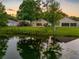 A scenic view of the home from across the pond, reflecting a tranquil ambiance with lush trees at 13409 Fawn Springs Dr, Tampa, FL 33626