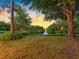 Beautiful pond view with tiki torches enhancing the landscaped shoreline and sunset backdrop at 13409 Fawn Springs Dr, Tampa, FL 33626