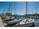 Marina featuring sailboats docked in harbor at Safety Harbor, Florida at 1802 Oak Ridge Rd, Safety Harbor, FL 34695