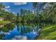 Picturesque view of lush pond and scenery in Safety Harbor community at 1802 Oak Ridge Rd, Safety Harbor, FL 34695