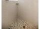 Close-up of the tiled shower stall with a mosaic tile floor at 1802 Oak Ridge Rd, Safety Harbor, FL 34695