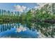 Serene water view reflecting blue sky and trees in Safety Harbor community at 1802 Oak Ridge Rd, Safety Harbor, FL 34695