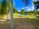 Scenic backyard view of a pond surrounded by lush greenery and palm trees under a bright blue sky at 19709 Wyndham Lakes Dr, Odessa, FL 33556